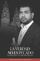 LA VERDAD NO ES PECADO: Testimonio de un ex seminarista abusado (Spanish Edition) 9560818104 Book Cover