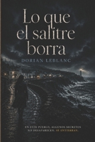 Lo que el salitre borra (Spanish Edition) B0GZDZ5R2J Book Cover