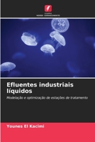 Efluentes industriais líquidos: Modelação e optimização de estações de tratamento 620588481X Book Cover