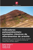 Indicadores paleoambientais: exemplos clássicos de afloramentos de arenito (Portuguese Edition) 6208248310 Book Cover