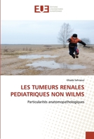 LES TUMEURS RENALES PEDIATRIQUES NON WILMS: Particularités anatomopathologiques 6203430285 Book Cover