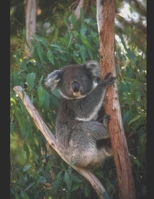 Atlas of World Mammals: An introduction to mammal's kingdom 1672818095 Book Cover