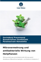 Mikrovermehrung und antibakterielle Wirkung von Heilpflanzen (German Edition) 6209424392 Book Cover