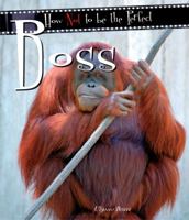 How Not to Be the Perfect Boss (How Not to Be the Perfect...) 1847862039 Book Cover