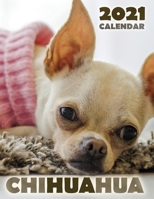 Chihuahua 2021 Calendar 1713900939 Book Cover