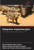 Diagnoza organizacyjna (Polish Edition) 6208577950 Book Cover