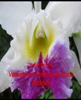 Verdadeiros Poemas de Bosta Satânica (Portuguese Edition) B08FP25DDH Book Cover