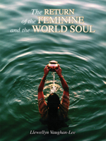 The Return of the Feminine and the World Soul 1890350141 Book Cover