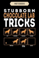 Notebook: Stubborn chocolate labrador retriever dog tricks lab Notebook6x9(100 pages)Blank Lined Paperback Journal For Student, gifts for kids, women, girls, boys, men, birthday gift, 1673809278 Book Cover