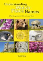 Understanding Welsh Place Names 0955355745 Book Cover