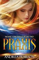 Praxis Novellas 1530642906 Book Cover