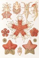 Haeckel scientific biological art notebook: Vintage Science Illustrations N°40 from "Kunstformen der Nature" / "Art forms in nature" ; composition journal with 120 pages of blank graph paper 1796316423 Book Cover