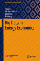 Big Data in Energy Economics 9811689679 Book Cover