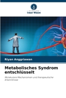 Metabolisches Syndrom entschlüsselt (German Edition) 6208469821 Book Cover