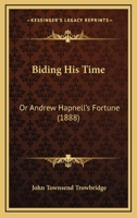 Biding His Time or Andrew Hapnell's Fortune 3337272312 Book Cover