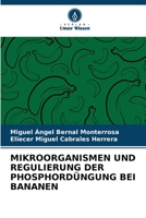 Mikroorganismen Und Regulierung Der Phosphordüngung Bei Bananen 6205650630 Book Cover