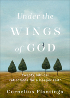 Under the Wings of God: Twenty Biblical Reflections for a Deeper Faith 1587436019 Book Cover