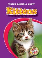Kittens 1600141684 Book Cover