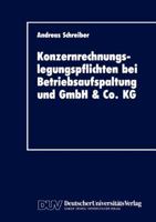 Konzernrechnungslegungspflichten Bei Betriebsaufspaltung Und Gmbh & Co. Kg 3824400324 Book Cover