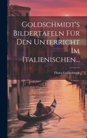 Goldschmidt's Bildertafeln Für Den Unterricht Im Italienischen... 1020543590 Book Cover