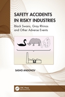 Safety Accidents in Risky Industries 1032136499 Book Cover