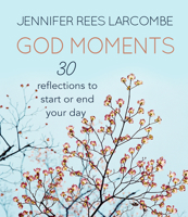 God Moments: 30 Reflections to Start or End Your Day 0857216937 Book Cover