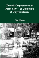 Juvenile Impressions of Plant City - A Collection of Playful Stories 0359998089 Book Cover