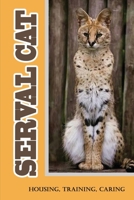 Serval Cat: Housing, Training, Caring: Care Guide For Serval Cat B09B14Q6ZW Book Cover