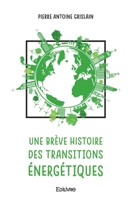 Une brève histoire des transitions énergétiques (French Edition) 2414486953 Book Cover