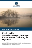 Punktuelle Verschmutzung in einem Fluss erster Ordnung in Uganda 6200699852 Book Cover