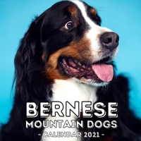 Bernese Mountain Dogs: 2021 Wall Calendar, Cute Gift Idea For Bernese Lovers Or Owners Men And Women null Book Cover