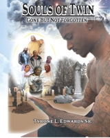 Souls of Twin: Gone But Not Forgotten B09B2BDKC6 Book Cover