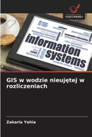 GIS w wodzie nieujetej w rozliczeniach (Polish Edition) 6202498471 Book Cover