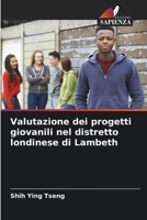 Valutazione dei progetti giovanili nel distretto londinese di Lambeth (Italian Edition) 6208640067 Book Cover