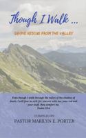 Though I Walk...: Divine Rescue From the Valley (Psalm 23 Book 1) 1945117532 Book Cover