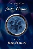 Song of Sorcery 1845495063 Book Cover
