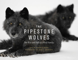 The Pipestone Wolves: The Rise and Fall of a Wolf Family 1771606932 Book Cover