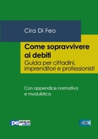 Come sopravvivere ai debiti 889974730X Book Cover