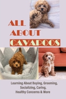 All About Cavapoos: Learning About Buying, Grooming, Socializing, Caring, Healthy Concerns & More: How To Breed Cavapoo B09BYBFPH4 Book Cover