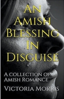 An Amish Blessing In Disguise B0CW2DNYMQ Book Cover