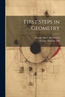 First Steps in Geometry 1022483323 Book Cover