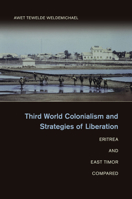 Third World Colonialism and Strategies of Liberation 1107576520 Book Cover
