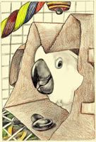 Where's Stevie Bird? 0983170339 Book Cover