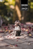 Monkey Ape Week Planner Weekly Organizer Calendar 2020 / 2021 - Very Small One: Cute Wildlife Animal Pet Bullet Journal Notebook Diary in 6" x 9" Inch Pocket Size 1675732698 Book Cover