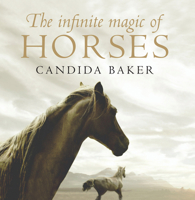 The Infinite Magic of Horses 1742371000 Book Cover