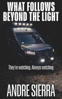 What Follows Beyond the Light B0GFD55DLX Book Cover