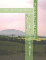 Castletown Cemetery, Castletown, County Wexford: Irish Cemetery Inscriptions B08GVGC8DF Book Cover