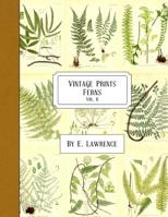 Vintage Prints: Ferns: Vol. 6 1987710061 Book Cover