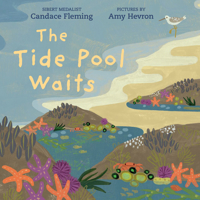 The Tide Pool Waits 0823459985 Book Cover