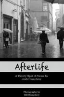 Afterlife 136504789X Book Cover